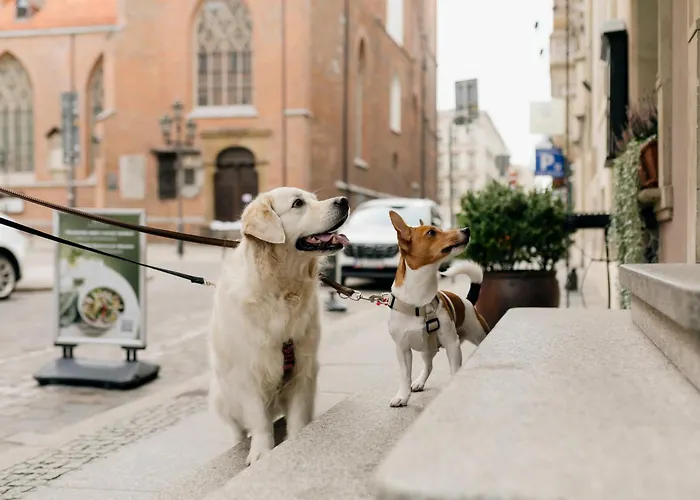 Art Hotel Breslau