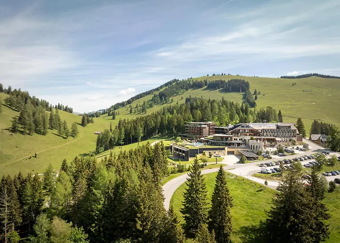Almwellness Hotel Pierer Fladnitz an der Teichalm