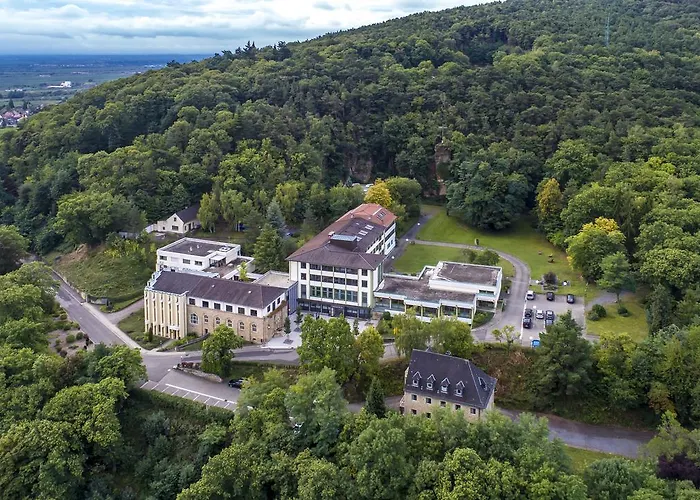 Kloster Neustadt Neustadt an der Weinstraße