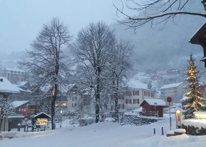 Hotel Hoheneck Engelberg