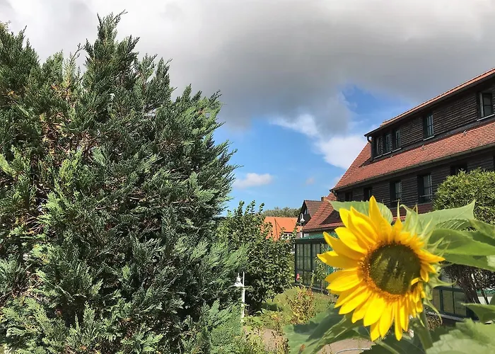 Hotel-Pension Seeadler Prerow