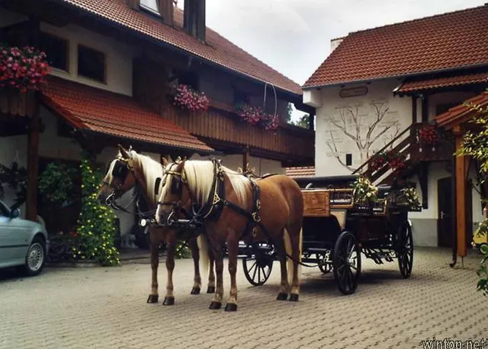 Appartementhaus Haflinger Hof Bad Füssing