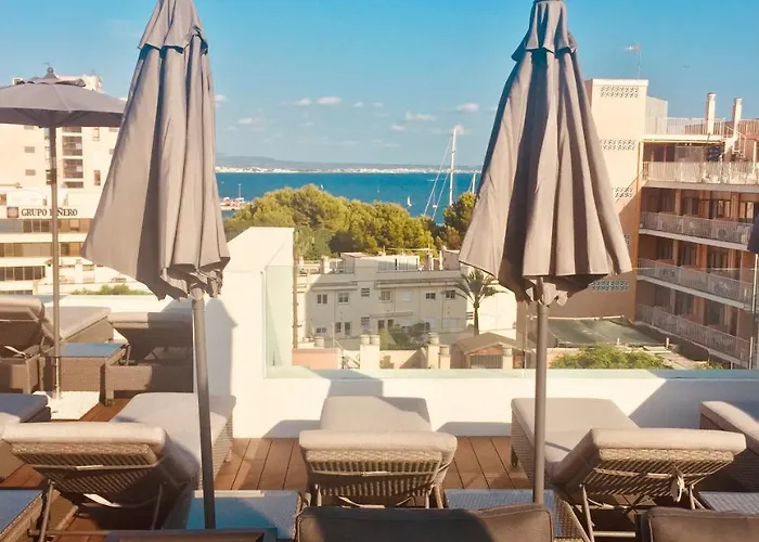 Terreno Suites Palma