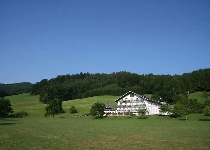 Hotel Garni Dorferwirt am Irrsee Tiefgraben