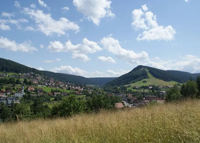Pension Haus-Sommerberg Baiersbronn